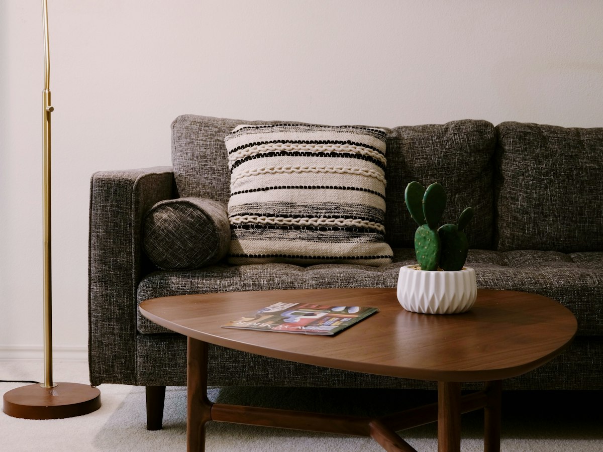 A dark grey sofa with a striped cushion beside a brass floor lamp, with a small potted cactus on a round wooden coffee table.